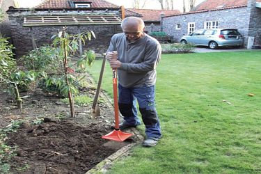 Stampffuß online mieten Stampffuß online mieten