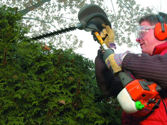 Heckenschere online mieten Heckenschere online mieten